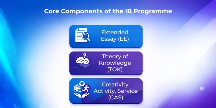Understanding the Structure of IB Programmes Across Different Age Groups